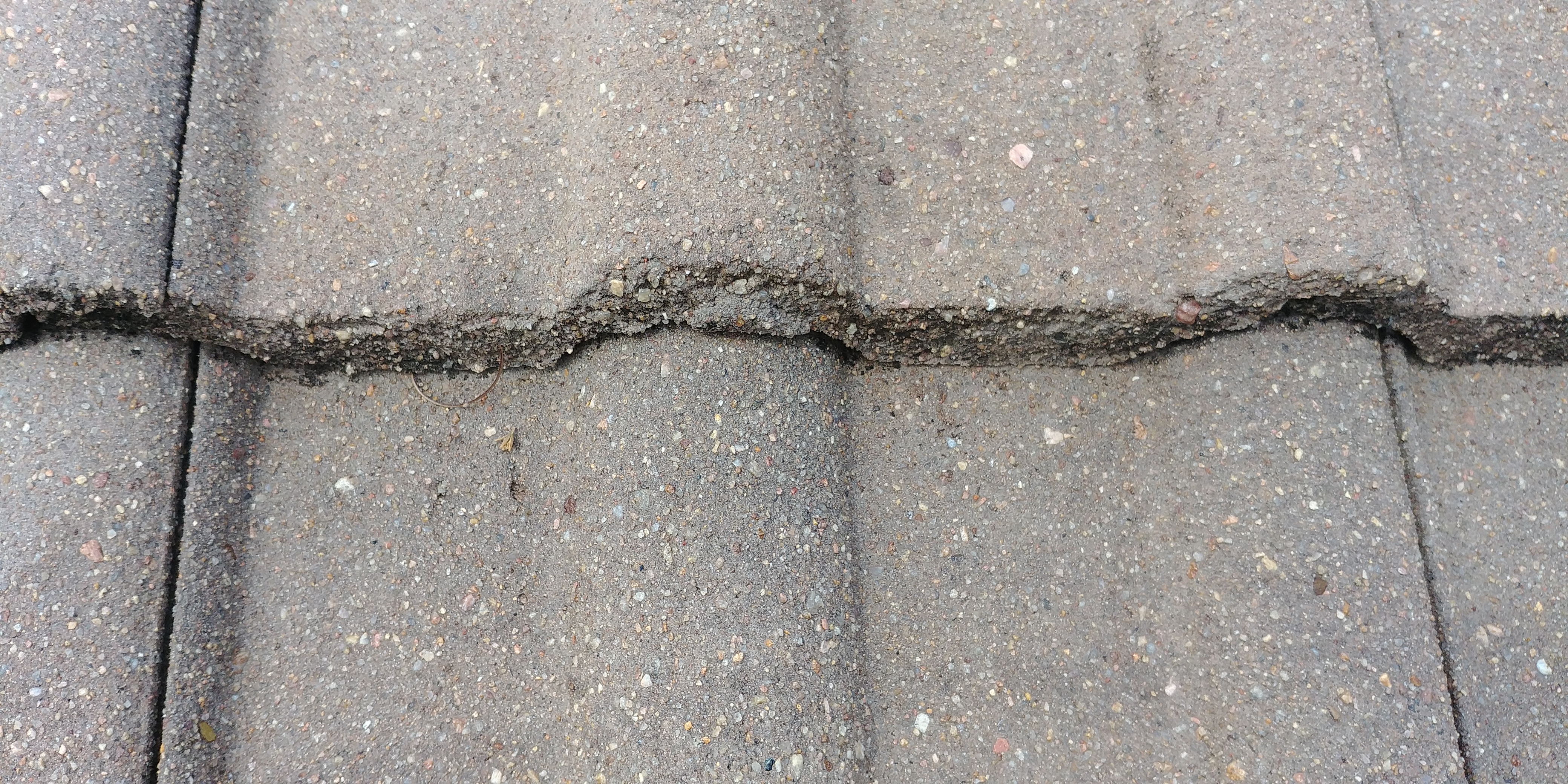 Painted surface
